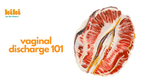 Vaginal Discharge 101
